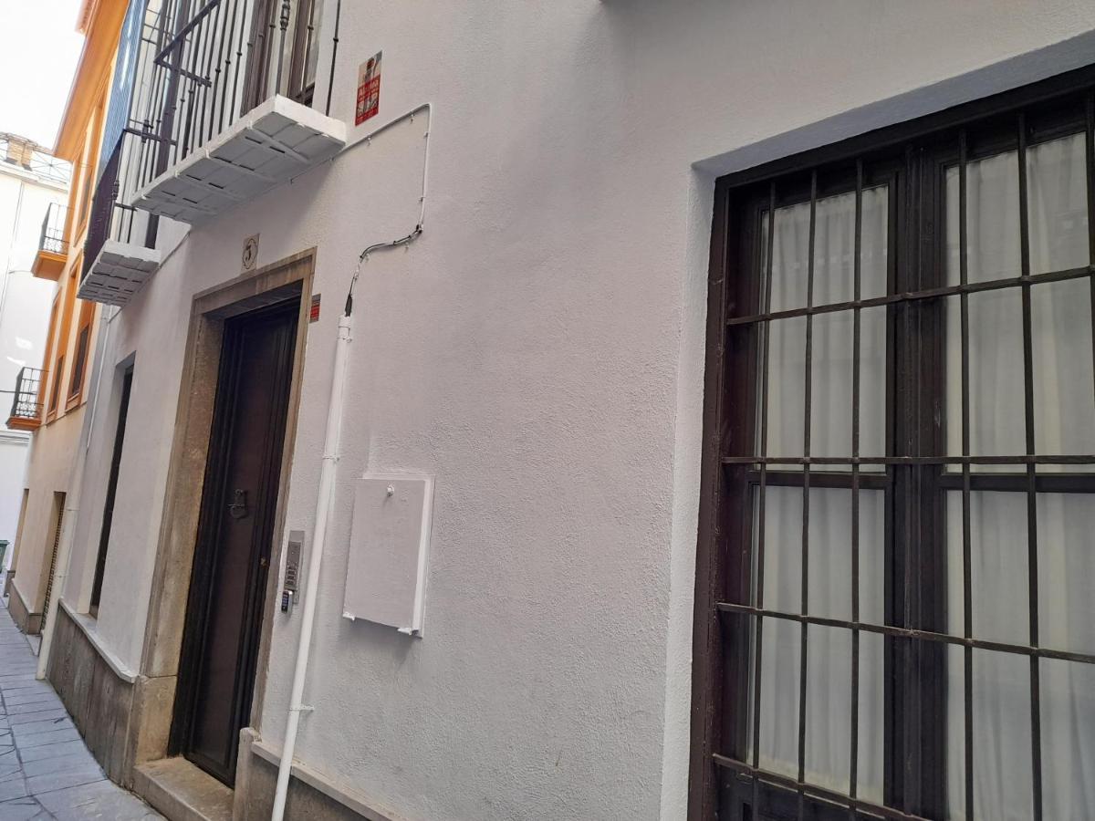 Appartement Alhambra 3000